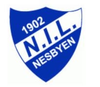Hallingtreffen 5 på Nesbyen (Trolltjern)